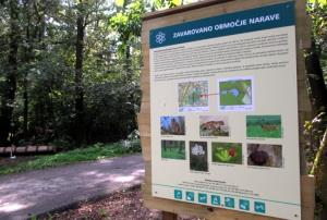 Nova urejena pot v Krajinskem parku Rački ribniki-Požeg 13